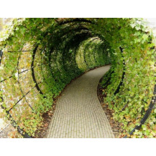 Арочный тоннель №033. Производство: Украина, Одесса