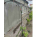 Опора из металла под виноград, вьющиеся растения, крепеж к стене №054. Производство: Украина, Одесса